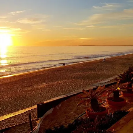 Apartamento Magnific With A Cozy Garden, 5 Minutes To The *