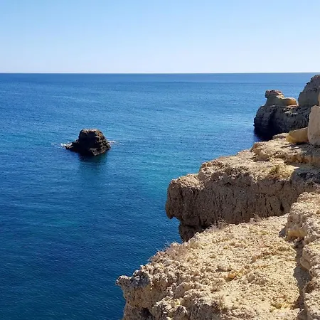 Apartamento Magnific With A Cozy Garden, 5 Minutes To The *