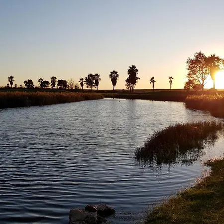 Magnific With A Cozy Garden, 5 Minutes To The Apartament *