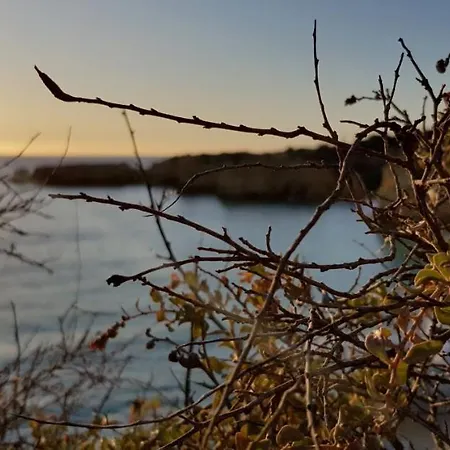 Magnific With A Cozy Garden, 5 Minutes To The Apartament *