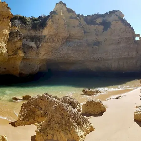 Apartament Magnific With A Cozy Garden, 5 Minutes To The *