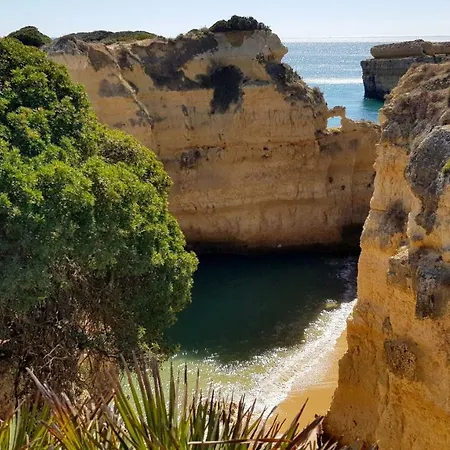 Magnific With A Cozy Garden, 5 Minutes To The *