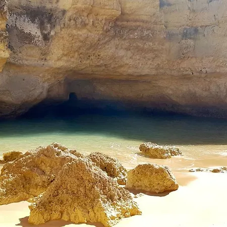 Apartamento Magnific With A Cozy Garden, 5 Minutes To The