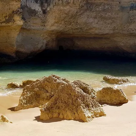 Apartamento Magnific With A Cozy Garden, 5 Minutes To The