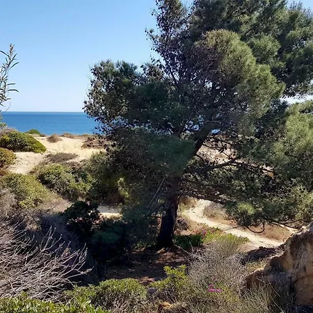 Magnific With A Cozy Garden, 5 Minutes To The Apartament