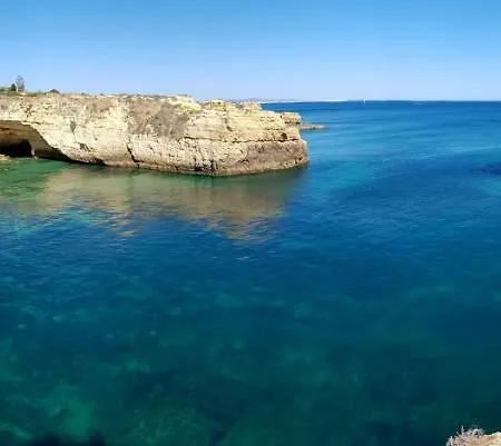 Apartament Magnific With A Cozy Garden, 5 Minutes To The *