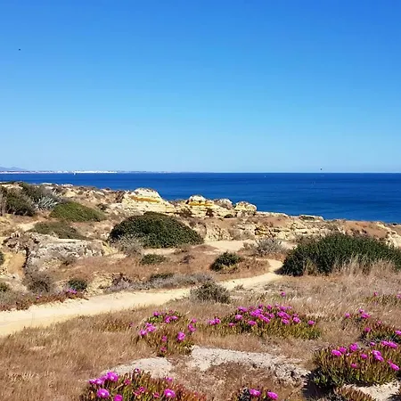 Magnific With A Cozy Garden, 5 Minutes To The Albufeira