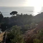 Magnific With A Cozy Garden, 5 Minutes To The Albufeira