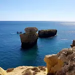 Apartamento Magnific With A Cozy Garden, 5 Minutes To The *